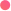 xeroziz.my